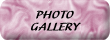 Wedding Photo Album Gallery