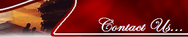 Contact Us...